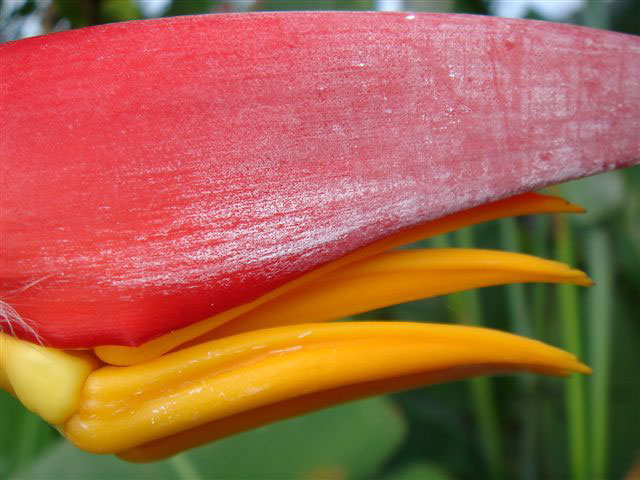 Unfolding