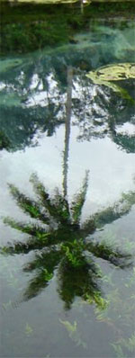 unfolding