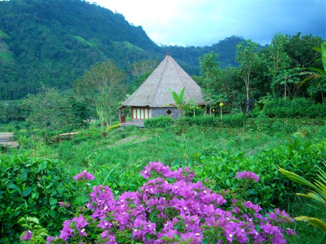 Nirarta meeting room