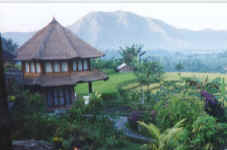 Hastadala Bungalow Nirarta Centre Bali